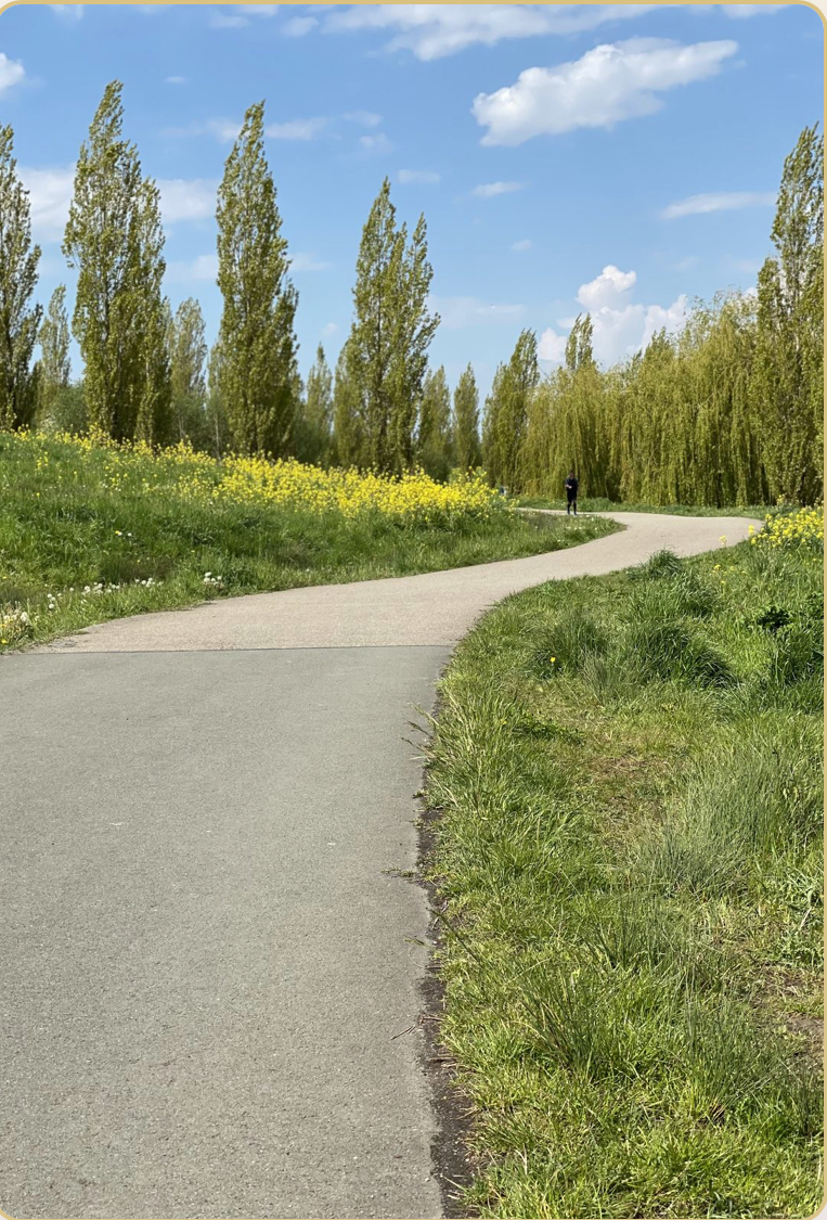 Rustig wandelpad in de natuur